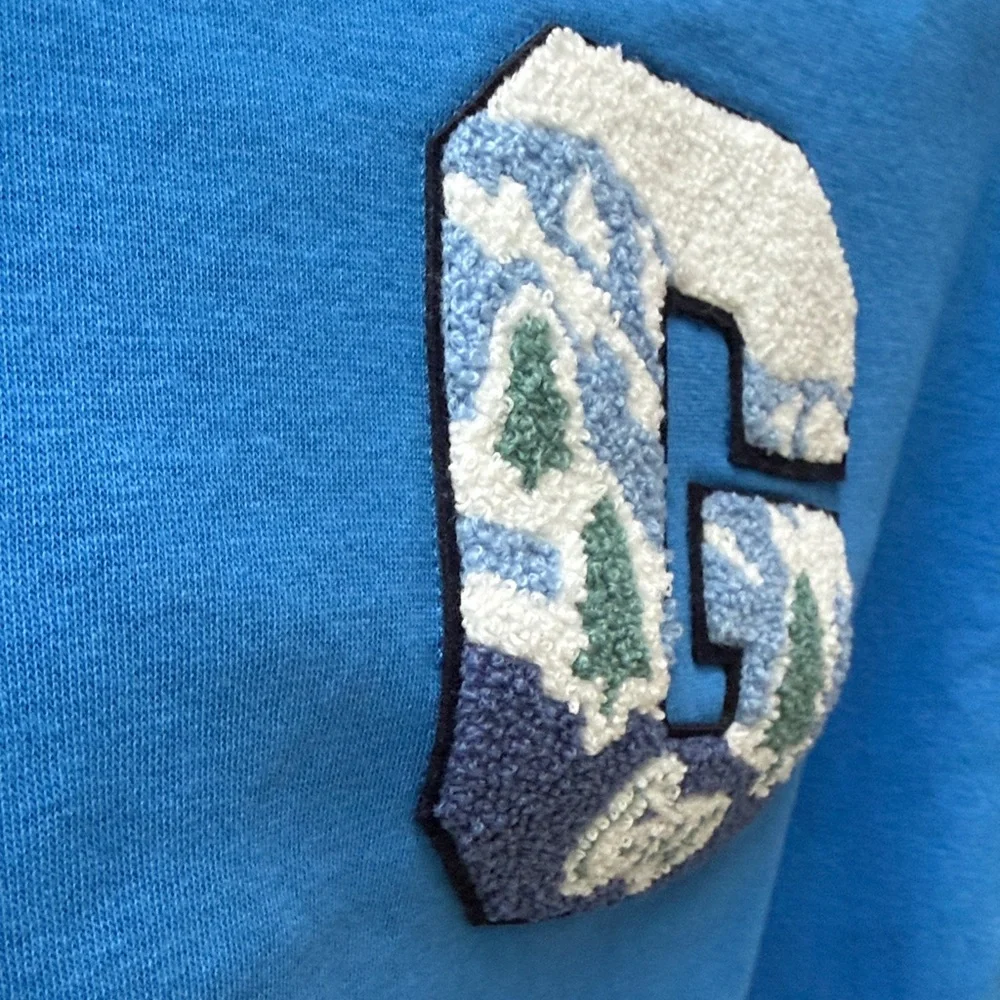 New GAP Kids Blue 'G' 3D Logo Sweatshirt